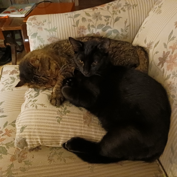 Meet your Posher! - Picture 3 of 3